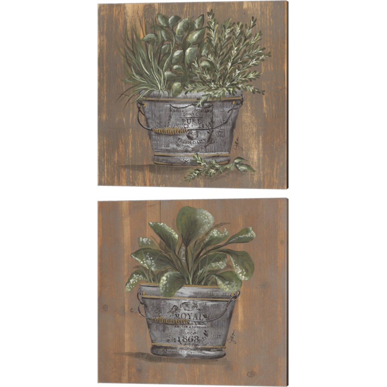 Herb Trio & Pretty Plant in Pail by Julie Norkus 14" x 14" Canvas Wall Art (Set of 2)